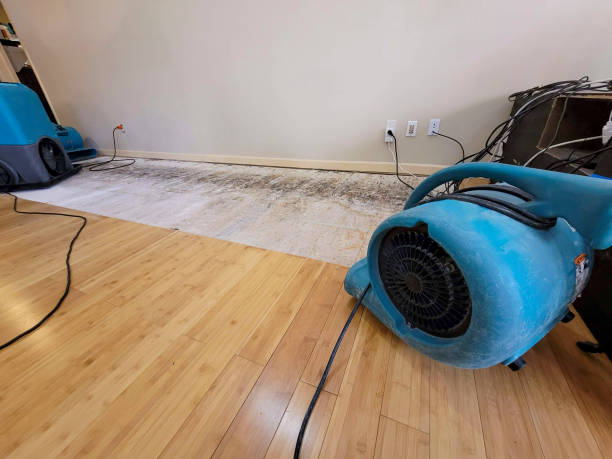 Professional Water Removal technician working in Minnesota City, MN